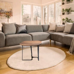 Stilla Walnut Side Table 9 Stilla Walnut Side Table -Slide Sales htfd47kcr7e1gqj61nom5ungj240