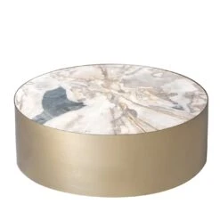 CIOCAT PETRIFIED WOOD COFFEE TABLE #1