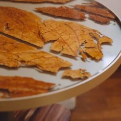 Catarina #2 Low Table -Slide Sales vc5n6hvu6m1w08pi3kpuujzz2hub